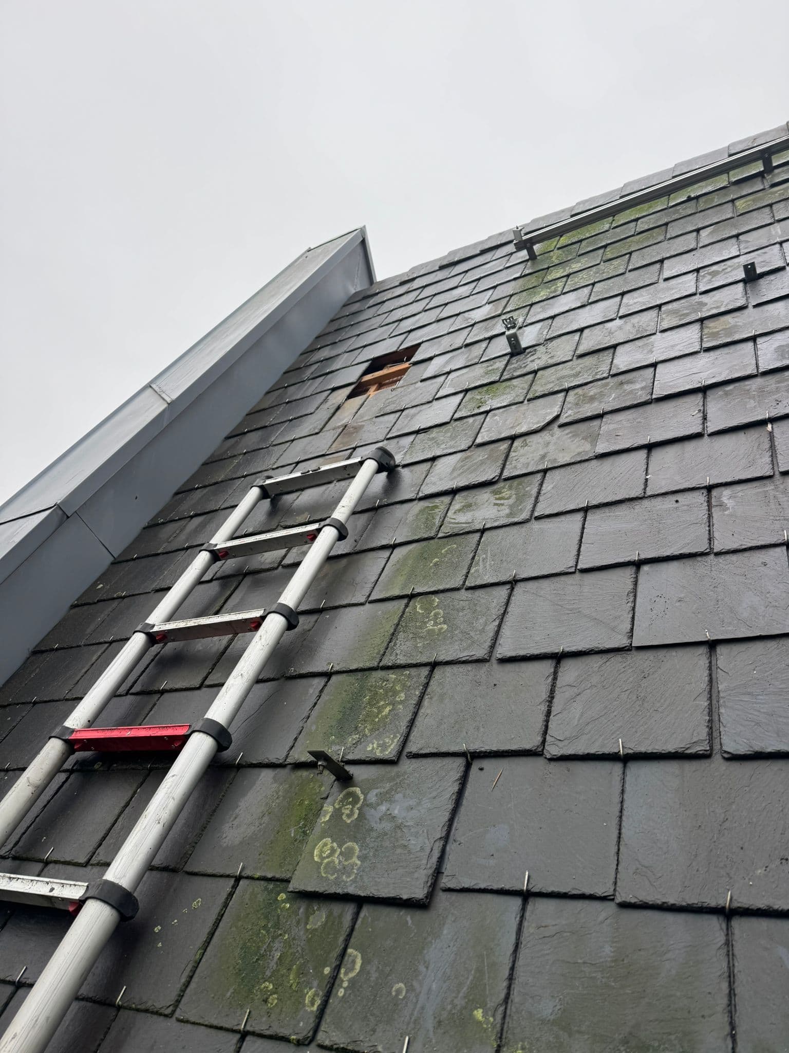 Leistenen work in progress